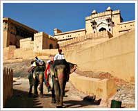 amber-fort-jaipur-tour