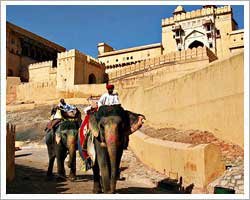 jaipur-amer-fort
